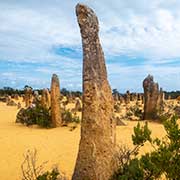 Pinnacles Desert National Park