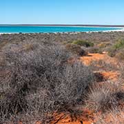 View of Shell Beach