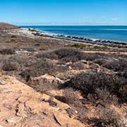 View, Whalebone Point