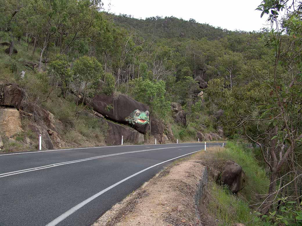 Along the Gillies Highway