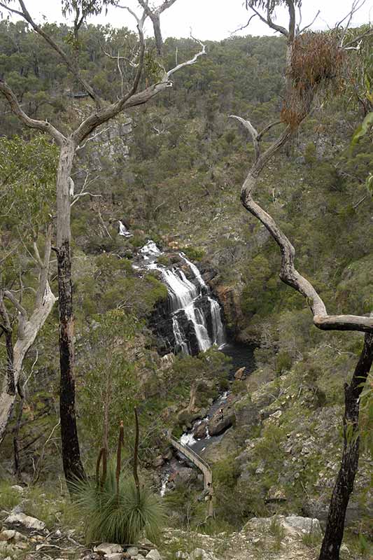 Mackenzie Falls