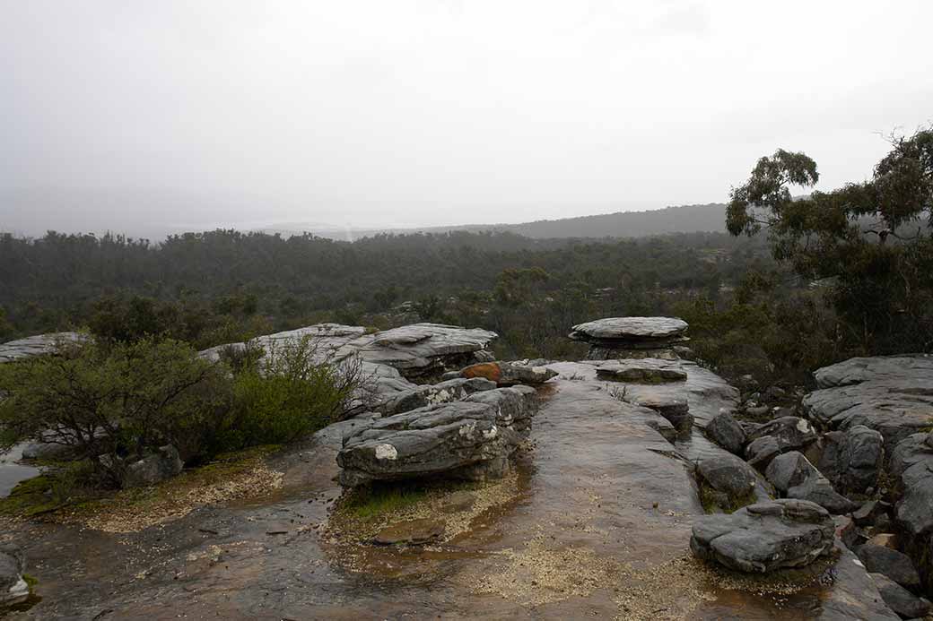 Rocks in the rain