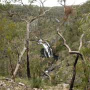 View to MacKenzie Falls