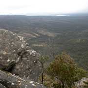 Reed Lookout