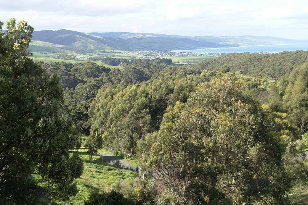 View to Apollo Bay