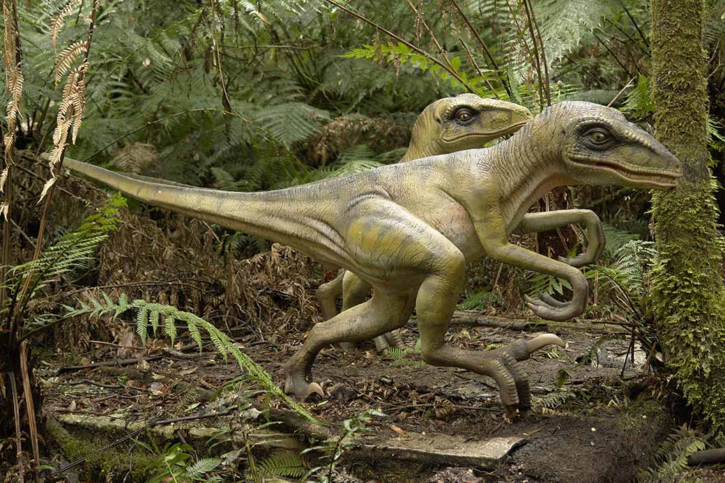 Running Velociraptors