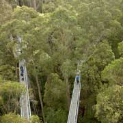 View at Otway Fly