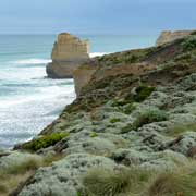 Coast at Gibson Steps