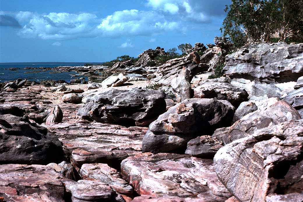 Rocky coast