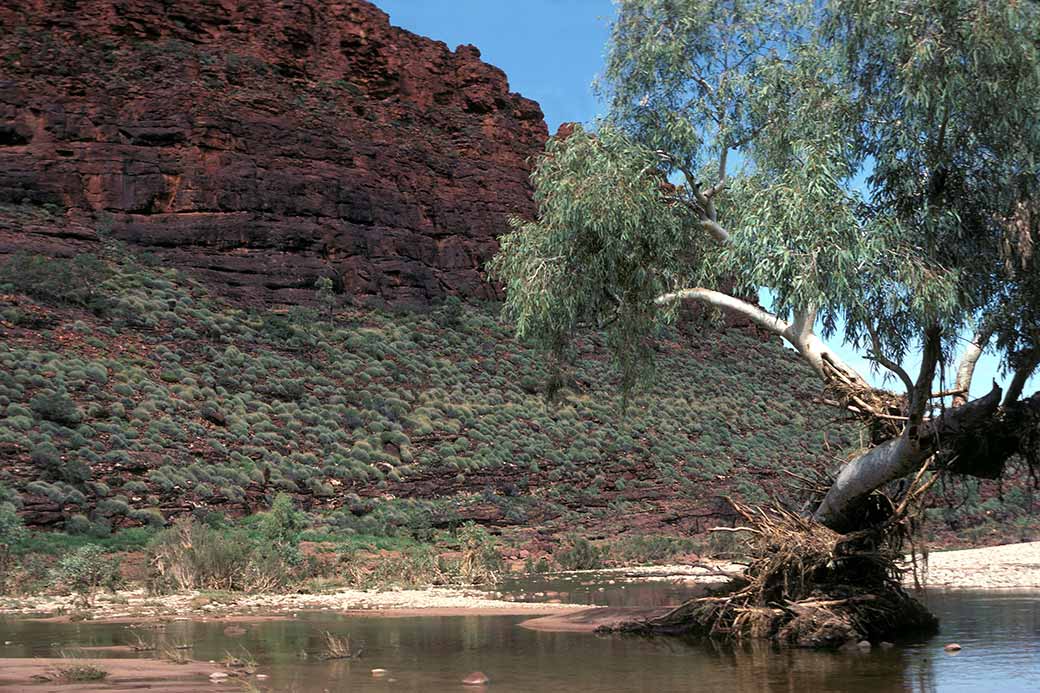 Finke River