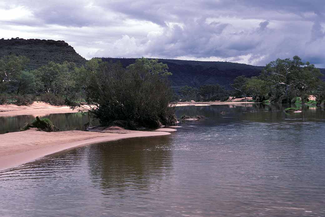 Finke River in flood