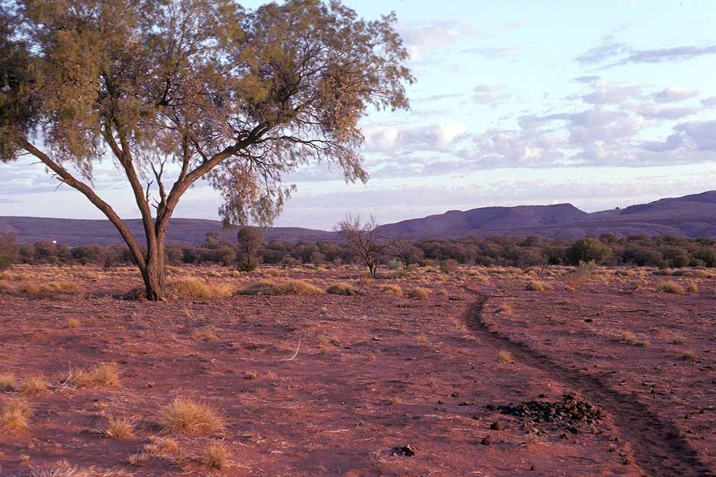 Track, Mt. Hermannsburg