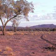 Track, Mt. Hermannsburg