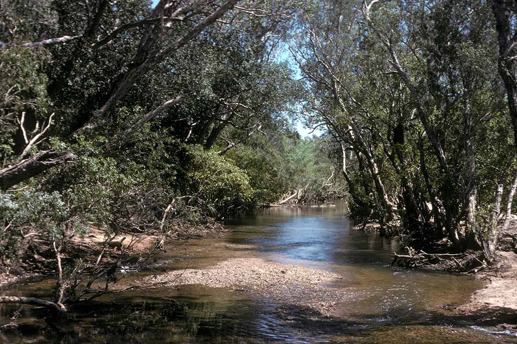 South Alligator River