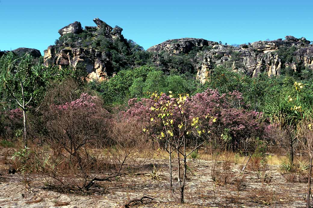 Between Jabiru and Ubirr