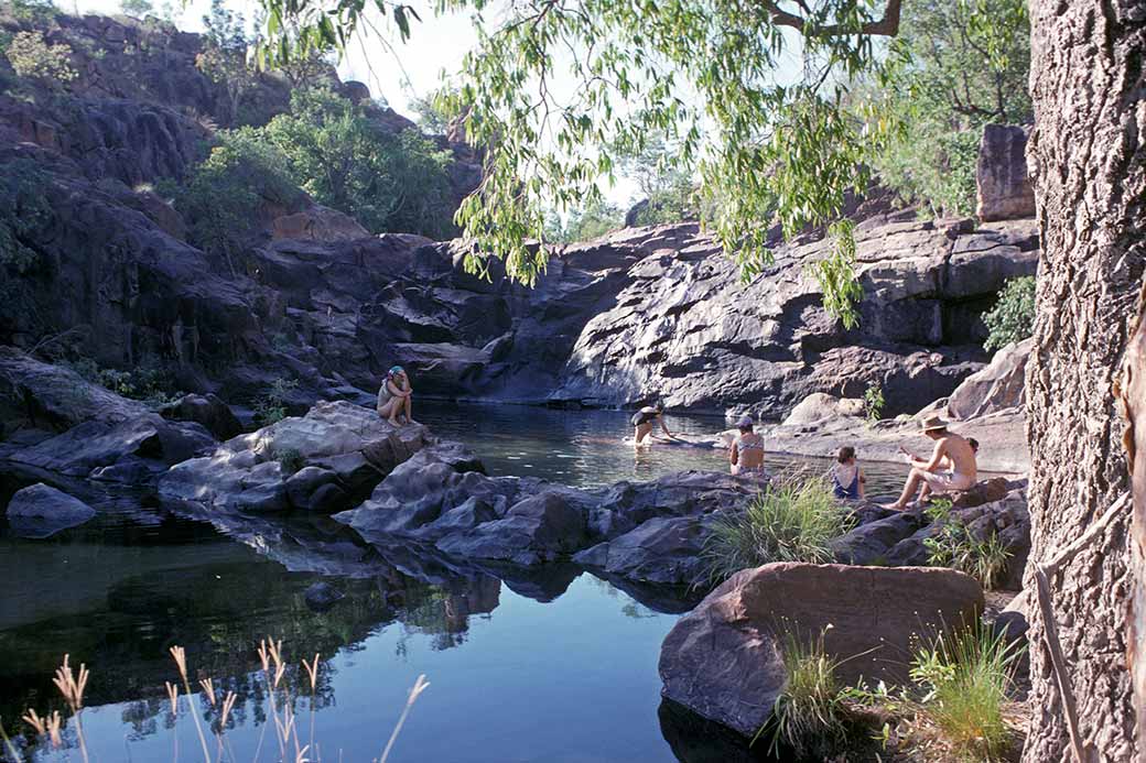 Pool above Falls