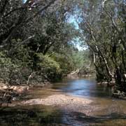 South Alligator River