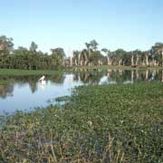 Yellow Waters Lagoon