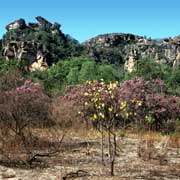 Between Jabiru and Ubirr