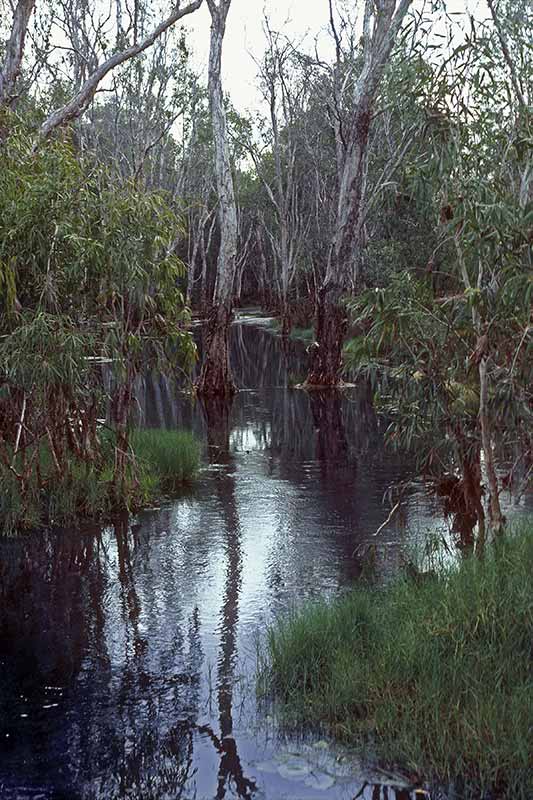 Roper River, Mataranka