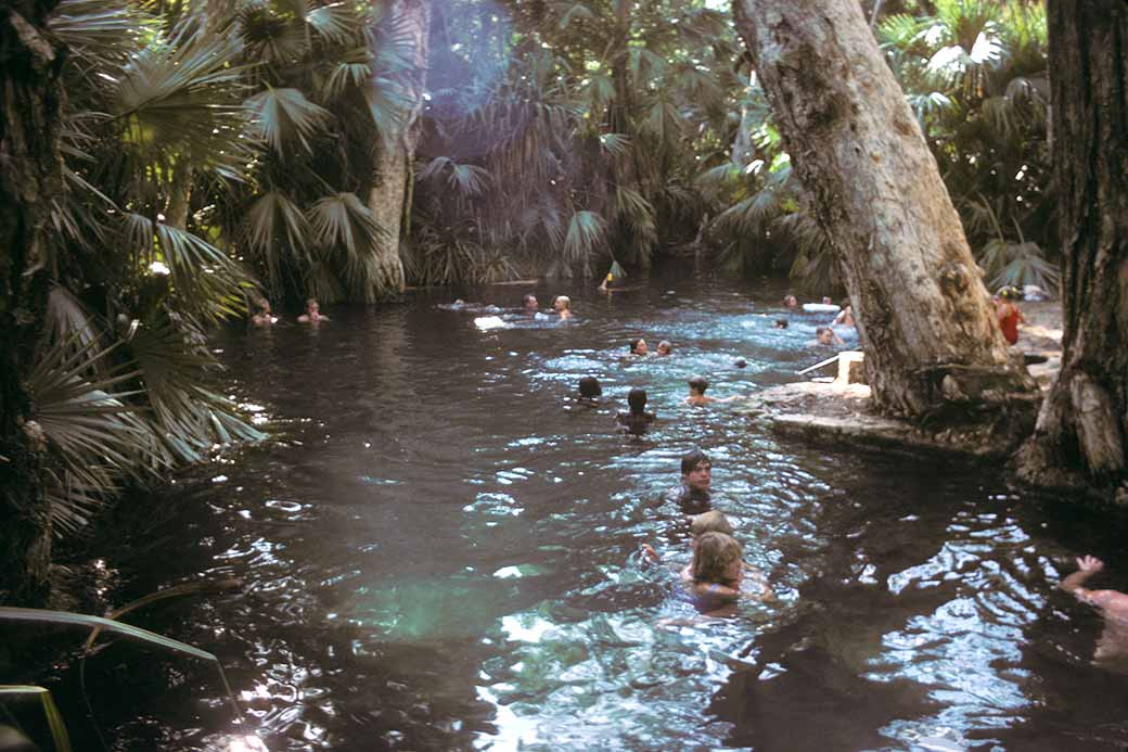 Mataranka pool