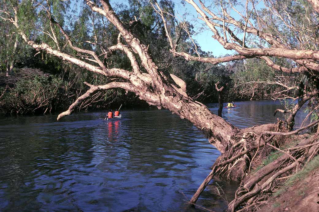 Canoeing, Katherine River