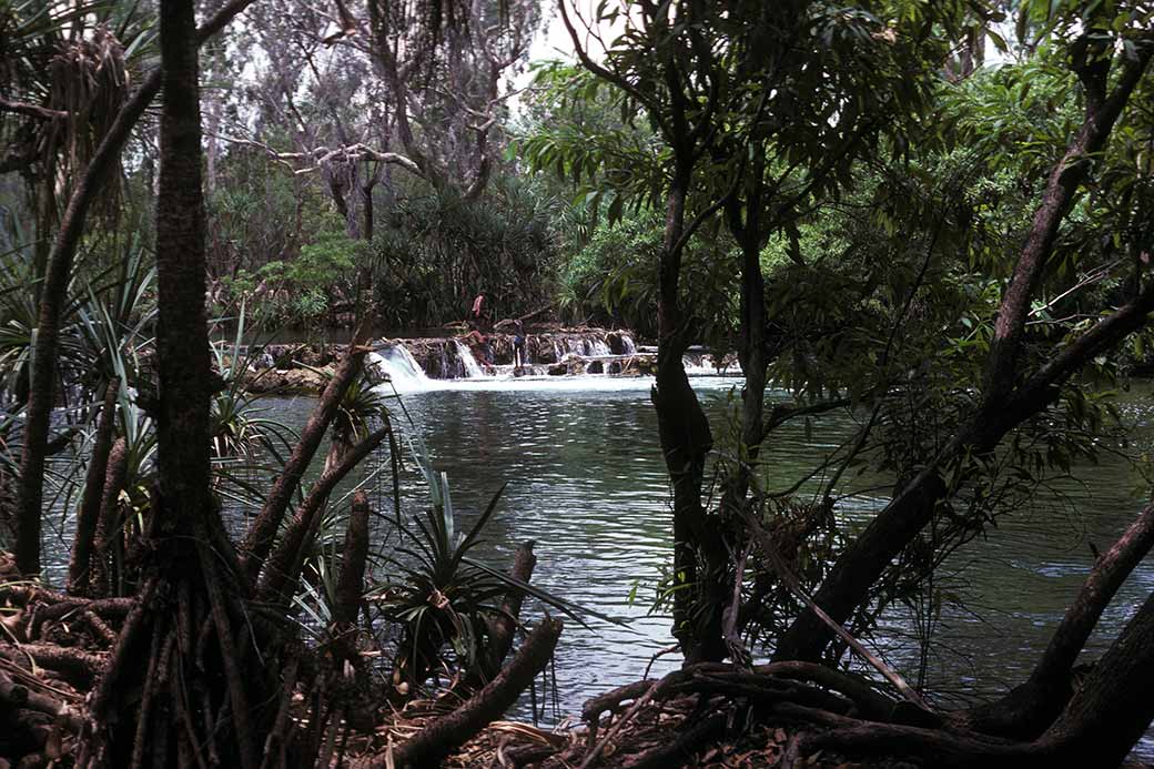 Mataranka Falls