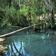 Roper Creek