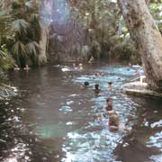 Mataranka pool