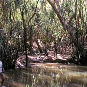 Fishing, Katherine River