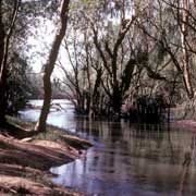 Katherine River