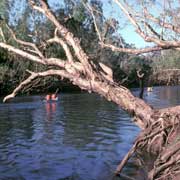 Canoeing, Katherine River