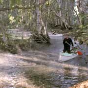 Roper River, Barlmardak