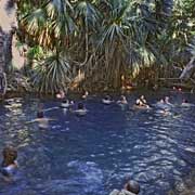 Thermal pool