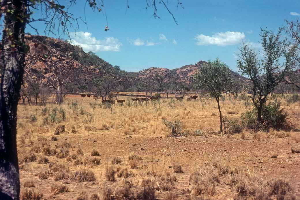 Towards King Leopold Ranges