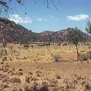 Towards King Leopold Ranges