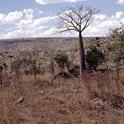 In King Leopold Ranges