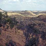 View in King Leopold Ranges Park