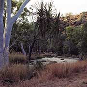 Billabong near Adcock Gorge