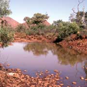 Creek in Wa<u>l</u>ungurru