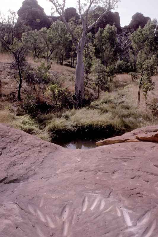 Petroglyphs, Mirima NP