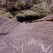 Petroglyphs, Mirima NP