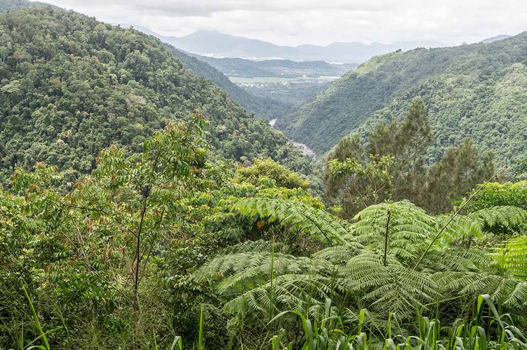 Barron Gorge