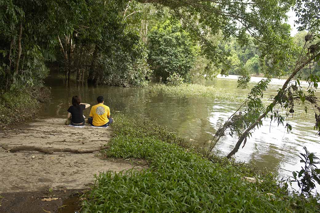 Along Barron River