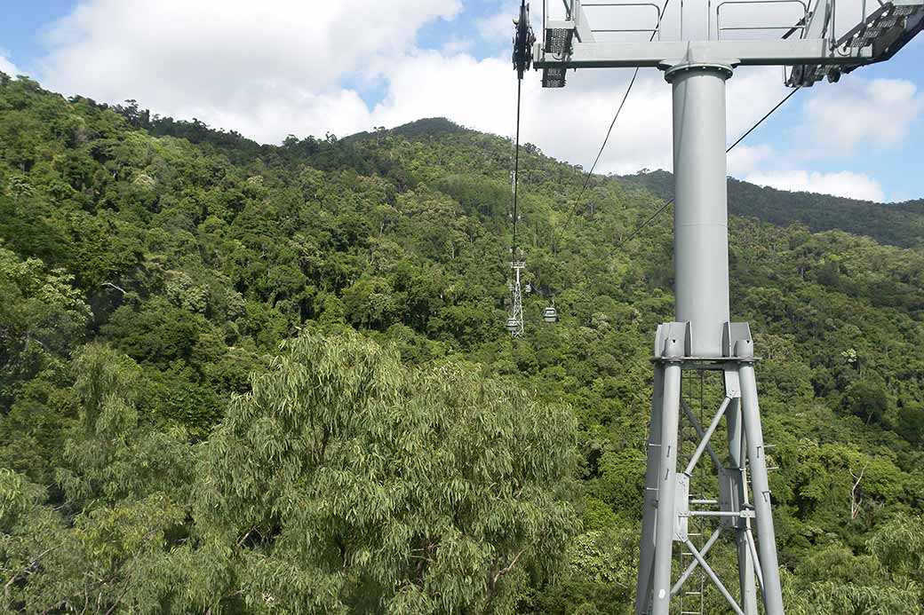 Skyrail cable car