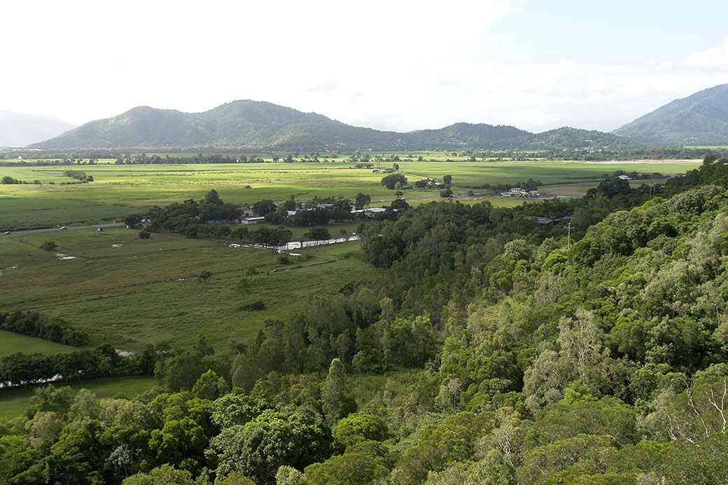 View to Mount Whitfield