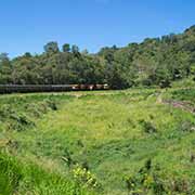 The Kuranda train