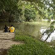 Along Barron River