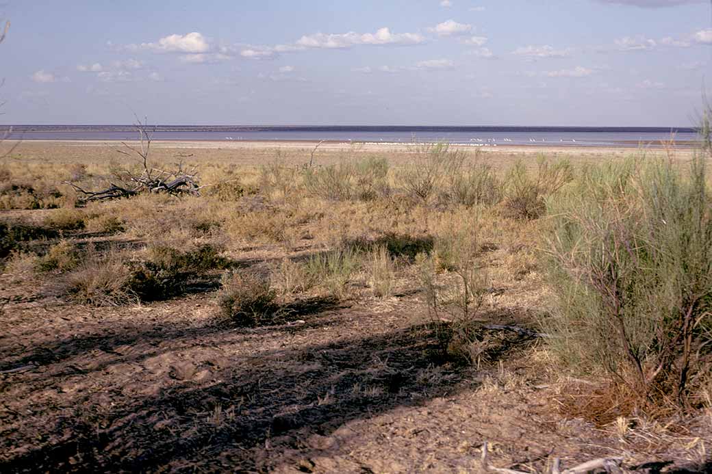 Western Nongra Lake