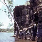 Catfish waterhole